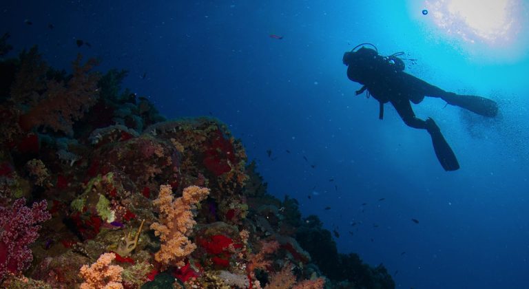 Introductory dive from Beach