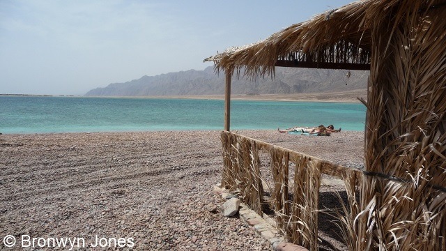 Ras Abu Galum North – Dahab