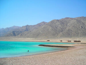 Ras Abu Galum South – Dahab