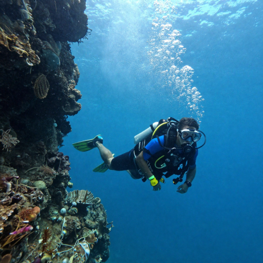 diving course master