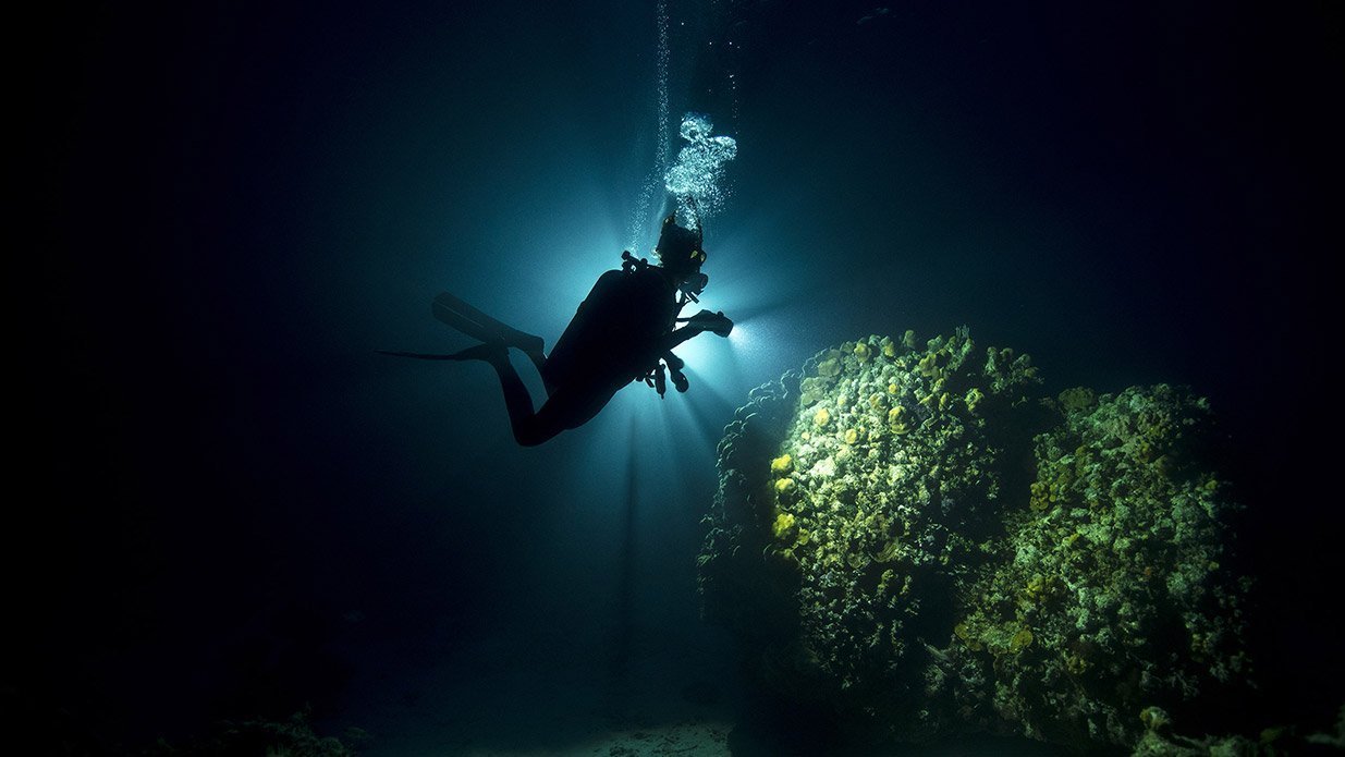 Dive Master Course - Image 2