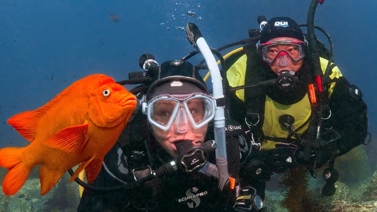Dive Master Course - Image 4