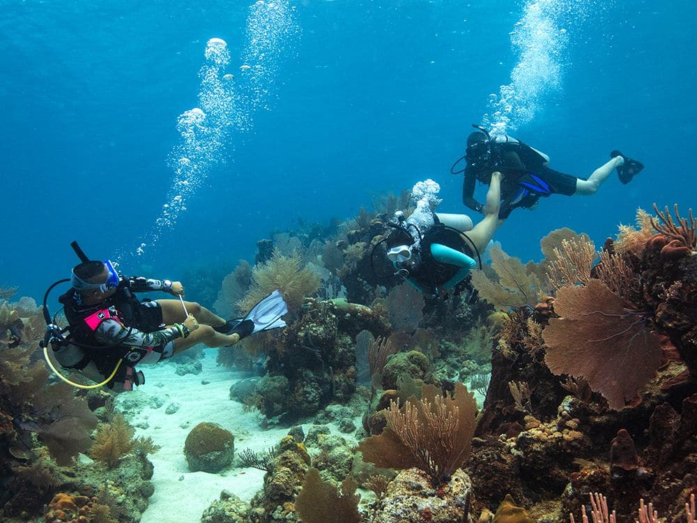 Discover Diving, From Beach - Image 3