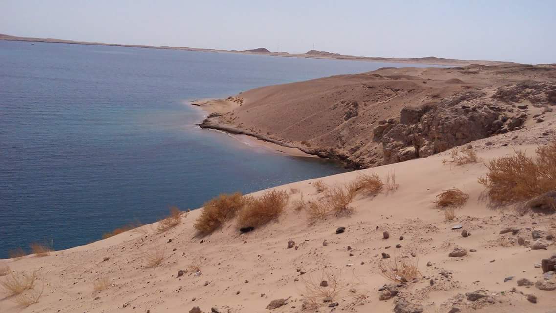 Ras Mohamed Trip ( Bus ) - Image 3