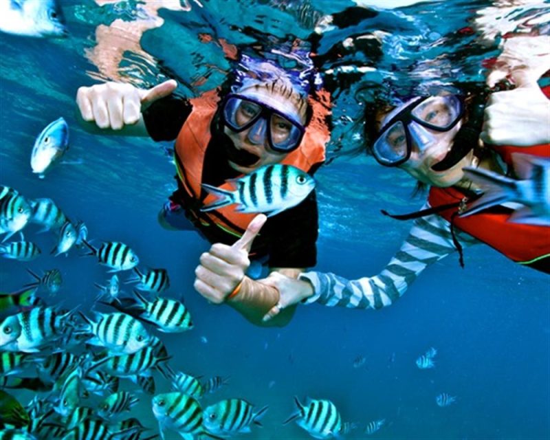 Adults snorkeling