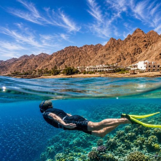 Diving in dahab