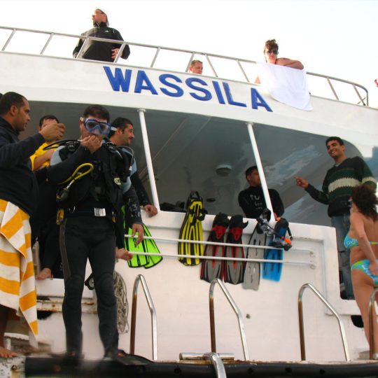 Full Day Dive, By Boat